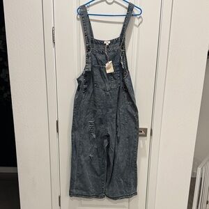 Blue Denim Oversizes Distressed Overalls